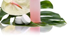 Bioplastics‘ specialist presents new biobased materials for packaging