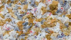 California presses for ban on single-use plastic bag