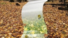 Corbion Purac and Innovia to develop temperature stable, transparent PLA films