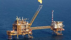 Oil holds near 2012 low