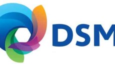 DSM announces Akulon and Novamid polyamide 6 polymer price increases for Europe and the Americas