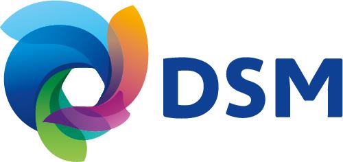 DSM joins LIPA-Team to develop series production