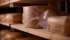 DSM’s revolutionary cheese-ripening solution, Pack-Age™ has been awarded Bronze in one of the world’s most competitive packaging innovation contests, ‘De Gouden Noot’.