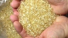 ENSO Plastics introduces two new biodegradable materials