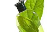 EU join forces with 48 companies, investing 3.8 billion euros in bio-based economy
