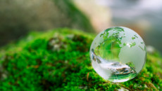 How should the plastics packaging industry celebrate Earth Day?