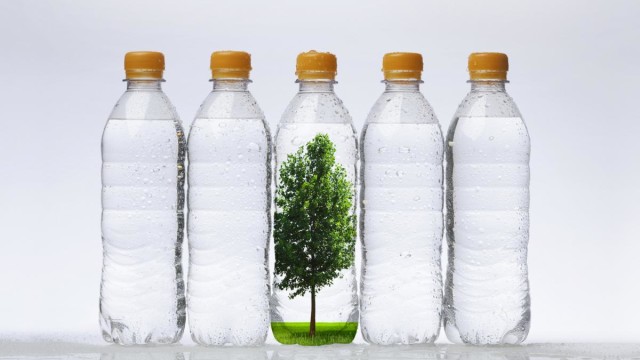 Exhibit wants society to “rethink” relationship with plastics