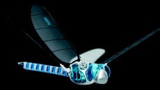 Festo's Dragonfly Robot Flies, Hovers & Glides