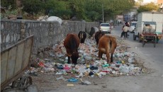 India plastic news