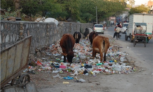 India plastic news