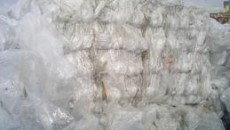 Italy and Egypt see tight LDPE film supplies