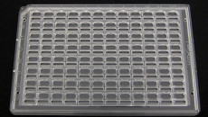 Plastic Raw Material
