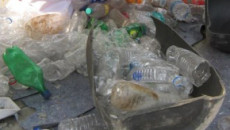 More than 60 million PET bottles recycled in 2012, says Petcore Europe