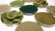 Dordan successfully thermoforms algae-plastic, will display sample at Pack Expo