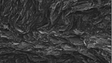 PP shows potential to reduce fuel cell cost