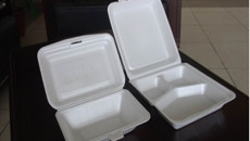 Plastic Recycling