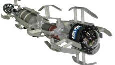 Nautical Robots Go With the Flow