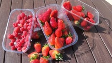 New supercleaned rPET 85% recyclate soft fruit punnets adding to the K37 range at Holfeld Plastics