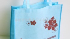 ShopRite offers US first durable compostable non-woven shopping bag