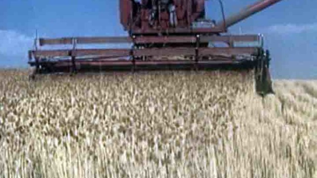 Clariant unveils its innovative Hostavin NOW® technology for agriculture films