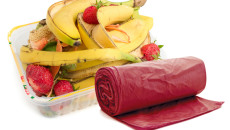 Capa significantly enhances biodegradability & bioplastic performance