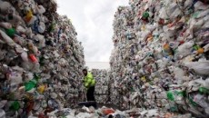 Plastic-breaking bacteria need field test
