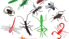 Plastic bugs may spare Kolkata a choking death