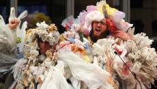 Plastic invades lion’s abode