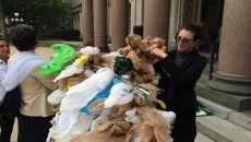 Plastic Recycling
