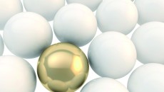 SolVin Award targets trends, debates outlook for innovation, sustainability