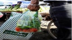 plastics news