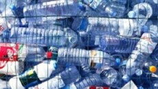 plastic bottle recycling