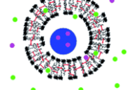 Switchable permeability for polymersomes