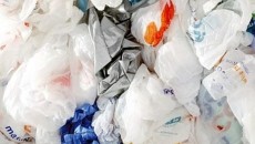 biodegradable plastic carrier bags