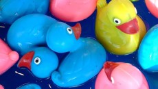 European Bioplastics publishes guide to clarify misleading information