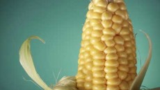 Report says global bioplastics consumption to reach 1.9 million metric tons by 2017