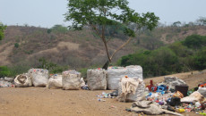 Plastics threaten ecosystem in Alagarkoil hills