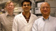 Rice University scientists turn soy mash into high value succinic acid
