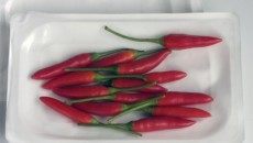 Cardia Bioplastics receives Halal certification