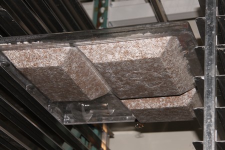 Thermoformed tray enables crop waste-based packaging1