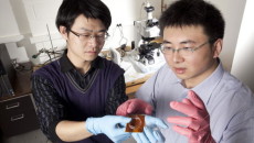 Electrically stimulated polymers eyed for medical devices