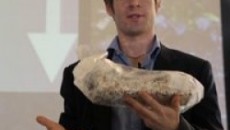 Ecovative's chief explains mushroom-based packaging