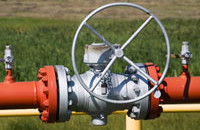 Shale Gas Could Be US 'Manufacturing Renaissance': CEO