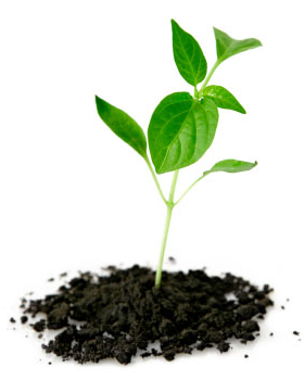 Profine enters Indian market with new plant