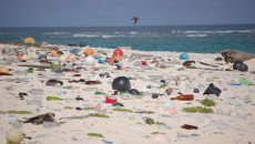 Plastic Recycling