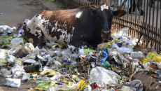 Supreme Court to consider total plastics ban / Anti-littering effort supported by TV station
