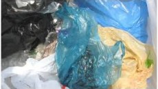 India's plastic industry needs to invest in Hamriya Free Zone