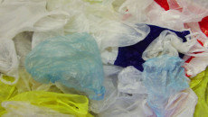 Plastic Recycling