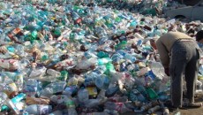 plastic bottle recycling