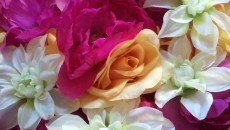 Instead of fresh-cut, try plastic flowers?
